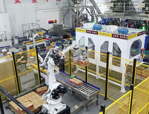 鹽津鋪?zhàn)佣麻L張學(xué)武 以匠心與遠(yuǎn)見，鑄就中國卓越食品制造企業(yè)